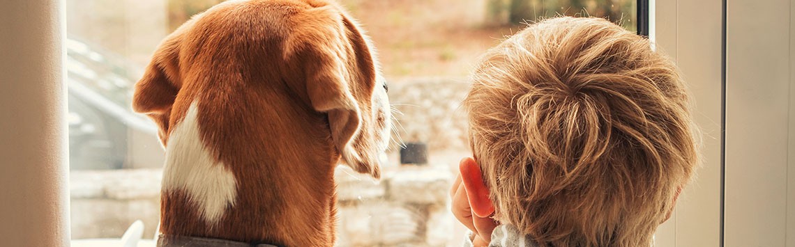 A dog and a young boy looking out of a window