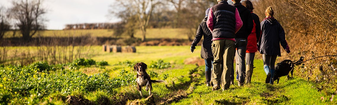 Family walking two dogs through the Berkshire countryside