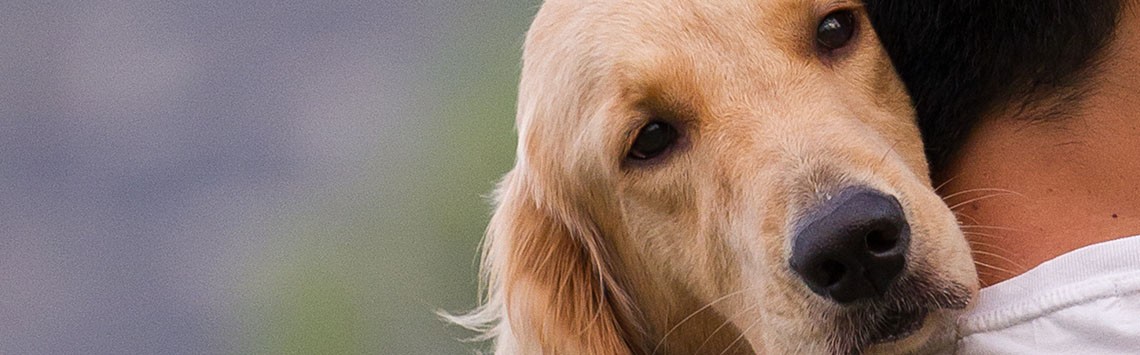 A dog rests its head on a man's shoulder