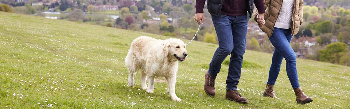 A couple walking their dog on a Sussex hillside