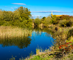 Rye Harbour Nature Reserve