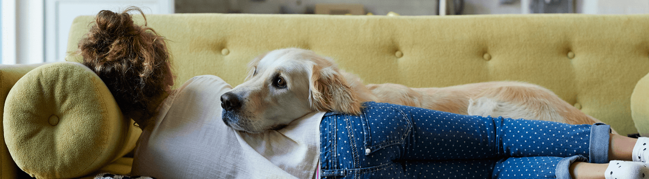 Pet insurance shop lifetime cover